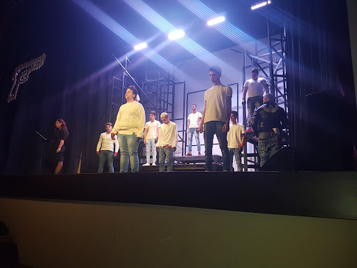 Teatro Olmi - Visual