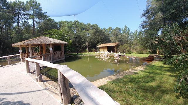 Zoo de Labenne