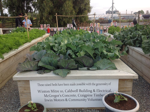 Winton Community Gardens