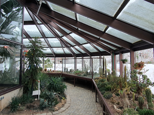 Palmenhaus Coburg - Visual