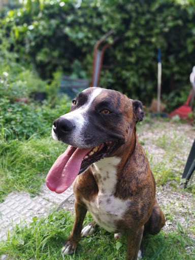 Clínica Veterinaria Las Fuentes - Thumbnail