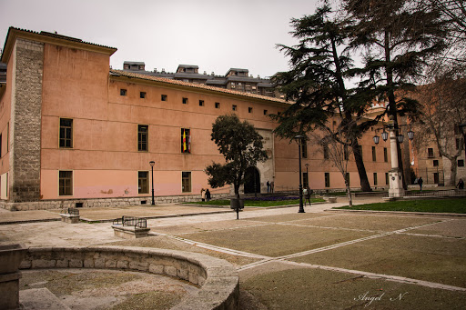 Cedros centenarios