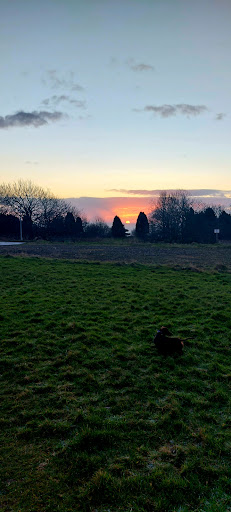 Cefn Coed Hospital Gallery - United Kingdom