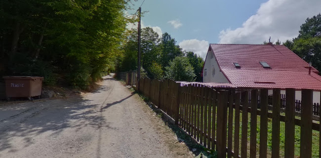 telefon Pensiunea Franzdorf Alpin