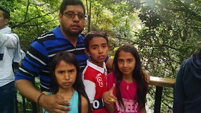 Photos of Bogot&aacute; Botanical Garden