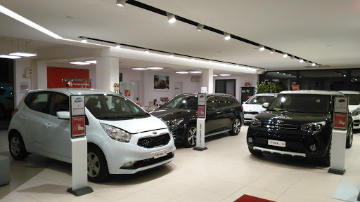 Reali Auto - Visual