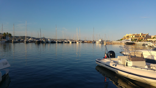 Supermarket Port - Thumbnail