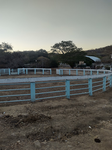 Coahuilotla - Visual