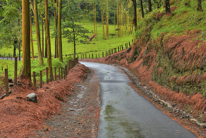 Arenal Observatory Lodge by null