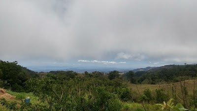 Photos of Zapotal
