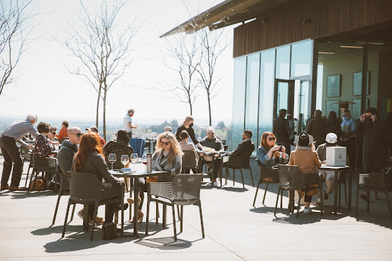 Furioso Vineyards by null