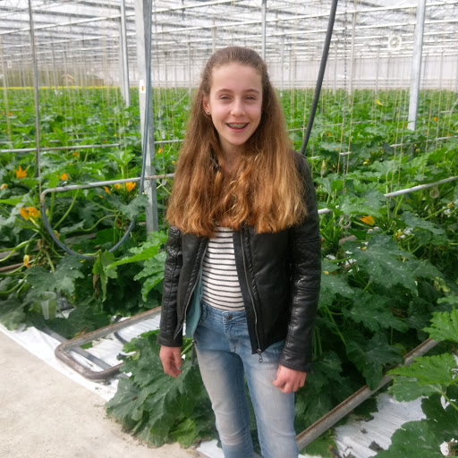 Den Ouden Paprika