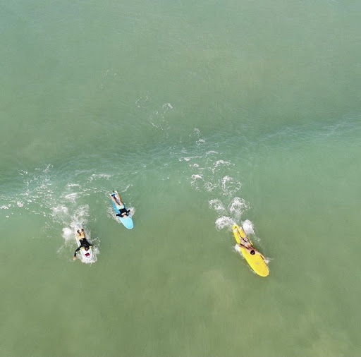 Free Surf - Visual