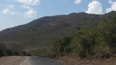 Photos of Champagne Ridge