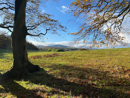 Wellness and Walking Holidays