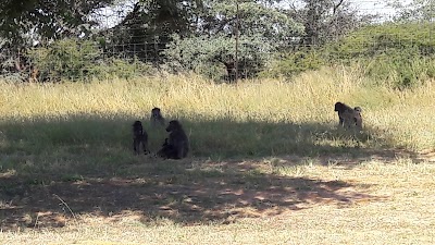 Photos of Jwana Game Park