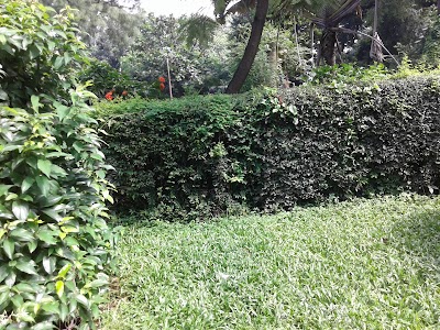 Photos of Curzon Hall