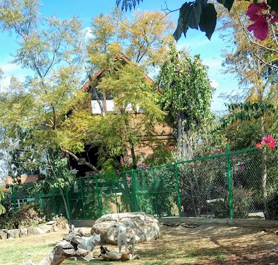 Photos of MASCOTEL