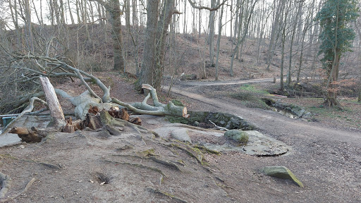 Härenbeker Teich - Thumbnail