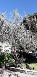 Photo n°11 de Gîte Aloé à Serres-sur-Arget (Lodge)