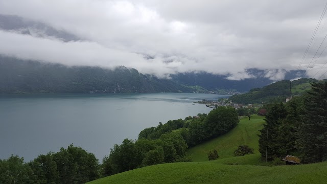 Lac de Walenstadt