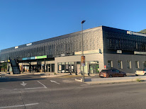 Nature Horse 07 à Le Teil