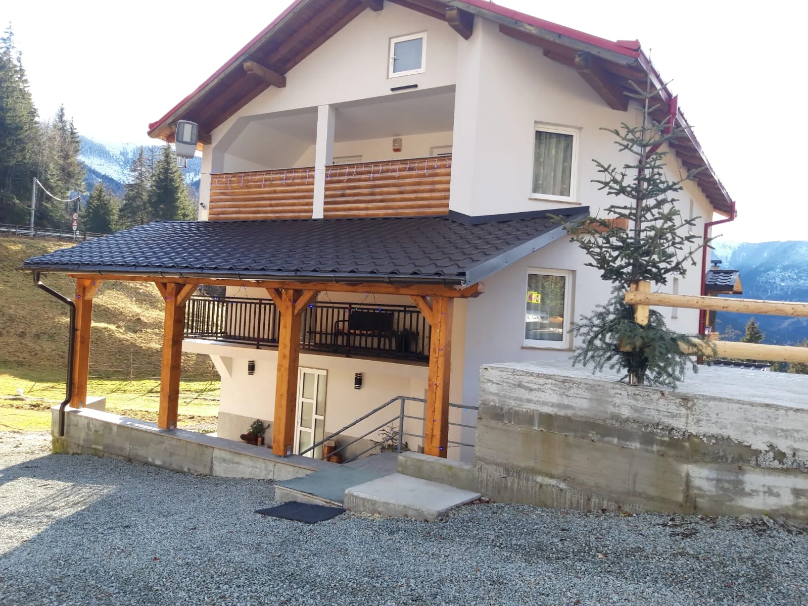 Casa Ileana Timis