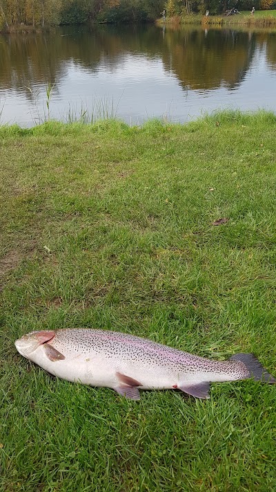 Photos of Herning Fiskepark