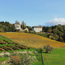 Photo n°19 de Clinique du Lac à Brison-Saint-Innocent (Chirurgien)