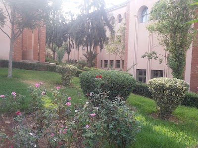 university