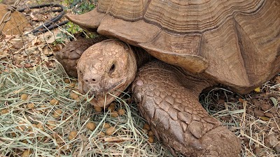 Lahaina Animal Farm & Petting Zoo