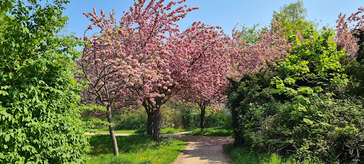 Marienfelde - Visual