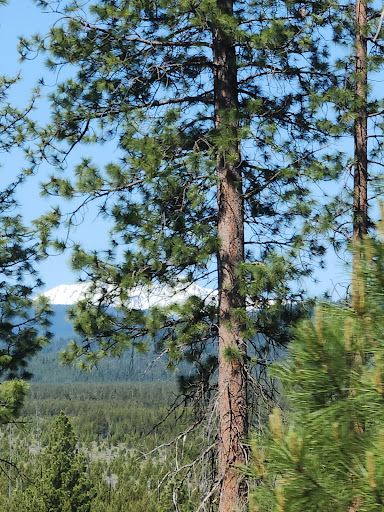 East Davis Lake Campground - Thumbnail