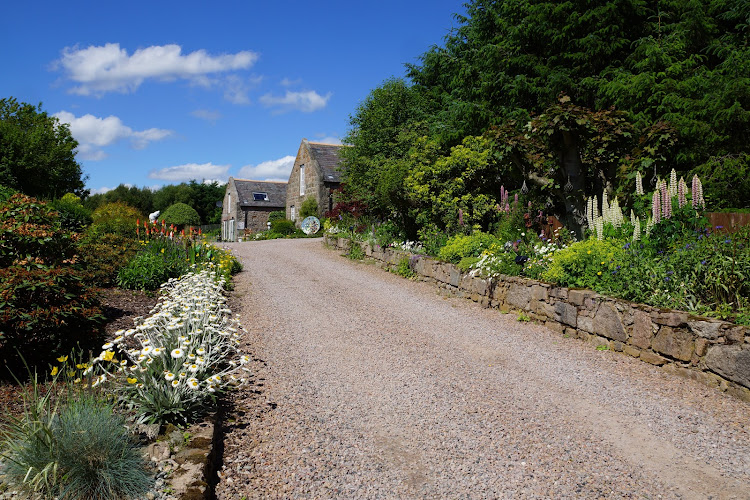 Pretty Rubbish Mosaics pottery studio in Aboyne offering wheel throwing and hand building classes