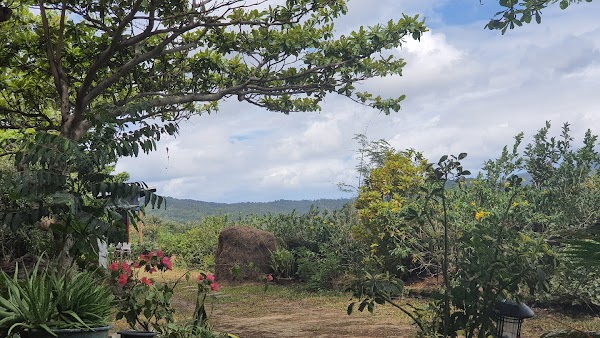 Shady Tree Rest Area