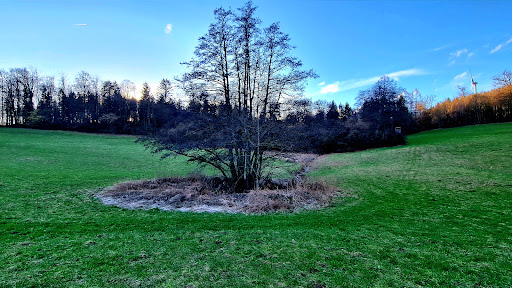 Schönbrunnen-Teich - Thumbnail