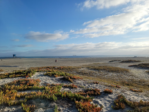 Coronado Dog Beach - Thumbnail