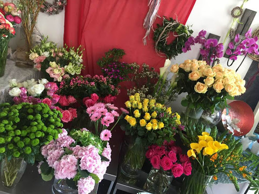 Blumen&Anderes