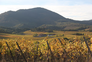 Photo n°19 de La Maison de Vacances location gîte séjour atypique rental holiday cottage Route des Vins d'Alsace à Nothalten (Gîte)