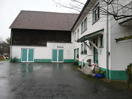 Diem G. Gallery - Germany