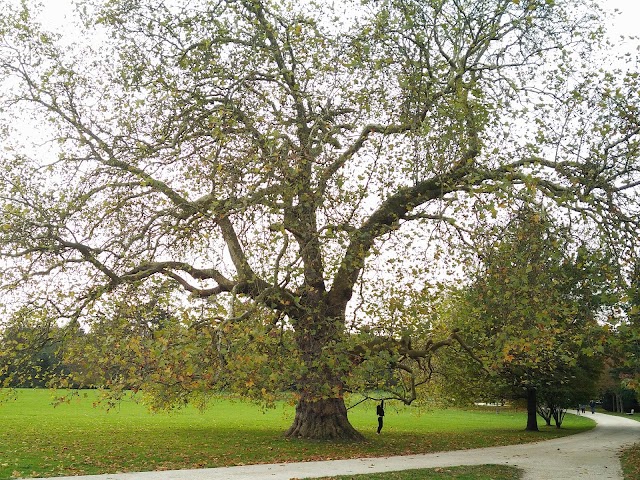 Parc culturel de Rentilly