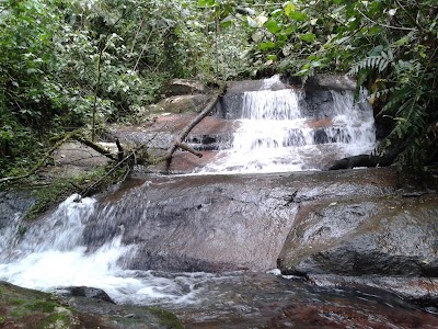 Photos of Rota das Arauc&aacute;rias - Ecoturismo