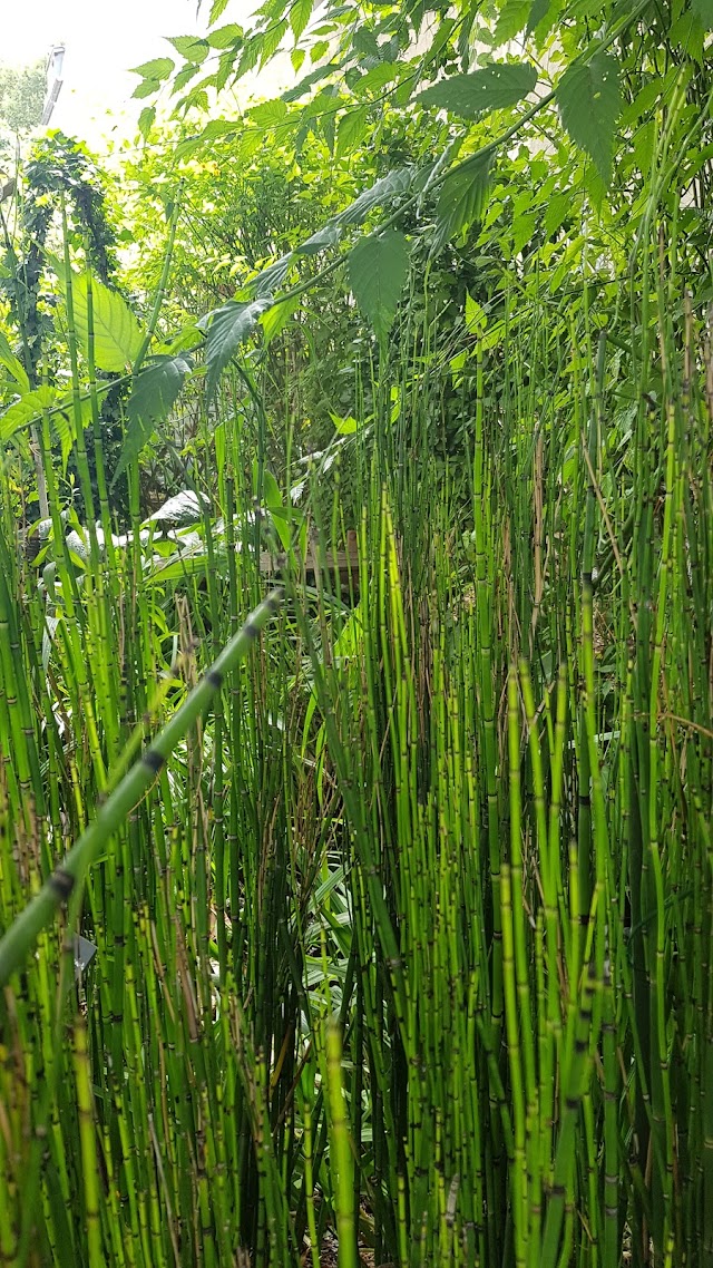 Jardin partagé de la Cité Leroy