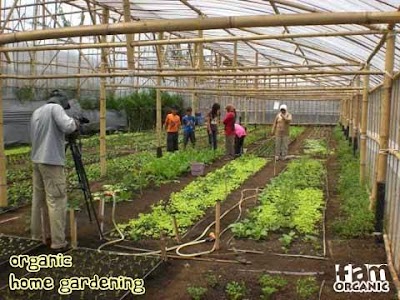 Photos of FAM Organic Parongpong