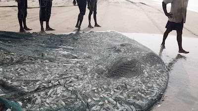 Photos of Nadukkuda Beach