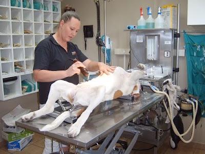 Photos of Bergbos Animal Clinic