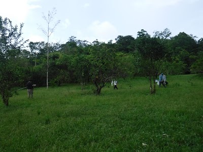 Photos of The Toucan Ridge Ecology and Education Society (T.R.E.E.S)