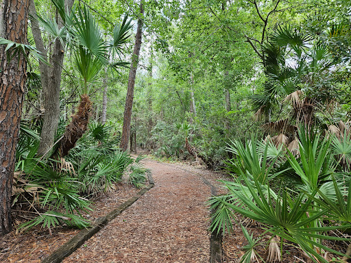 Baybridge Park - Thumbnail