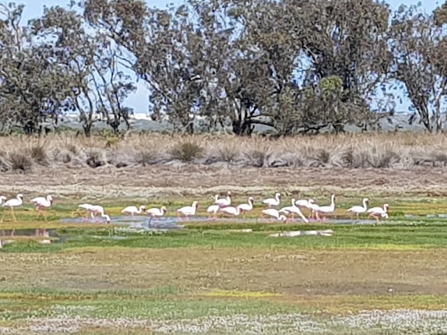 West Coast National Park
