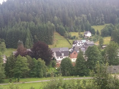 Photos of Waldhotel Feldbachtal
